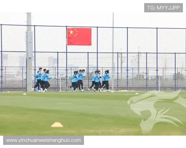 足球运动员的体能训练与恢复策略