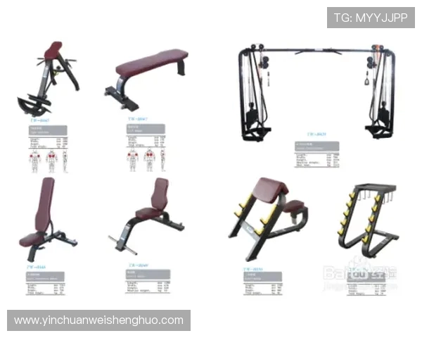 运动健身器材功能全解附使用建议