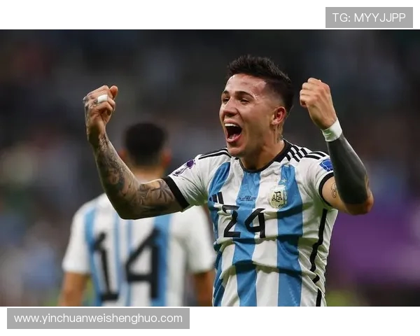 巴西甲级足球联赛积分榜最新排名及回顾