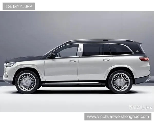 德甲球队估值排行榜与品牌影响力分析