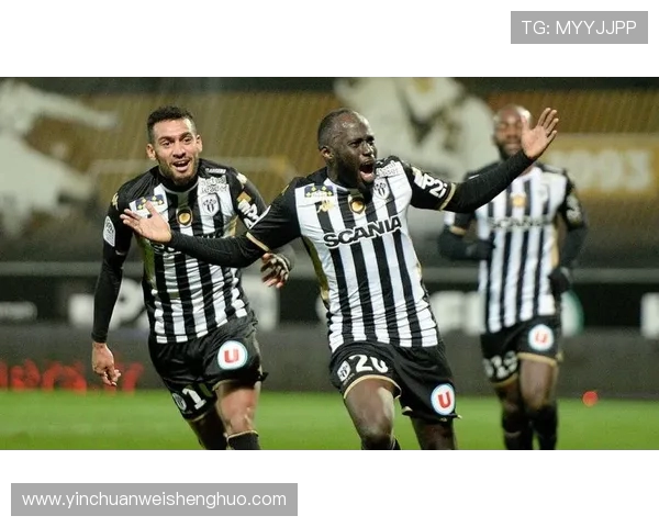 法甲里昂赛季出场球员人数与出场次数分析